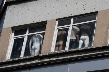 Aus dem Leben der Dummies / ***