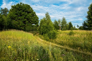 Summer Track / ***