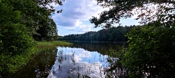 Zusammen mit der Natur / ***