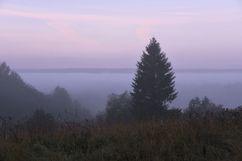 Dawn / ***