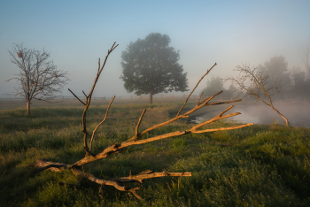 Am frühen Morgen / ***