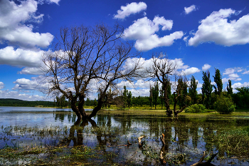 Simferopol Reservoir / ***