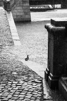 Leben rund um / ***