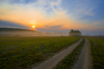 In dem Feld. / ***