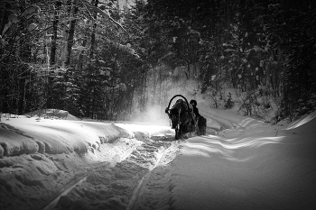 Road / ***