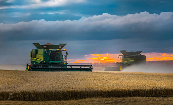 Battle for the harvest / ***