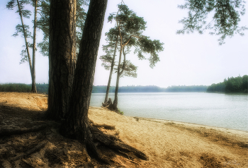 On the lake / ***