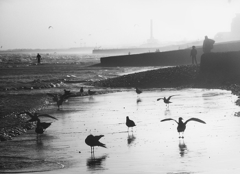 Brighton Central Beach / ***