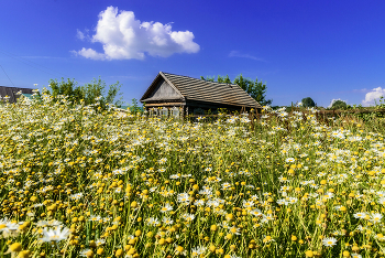 Über Sommer ... / ***