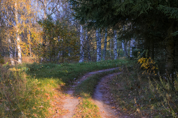 Im Herbstwald. / ***