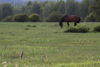 A meeting / ***