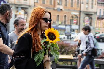 Sunflower / ...
