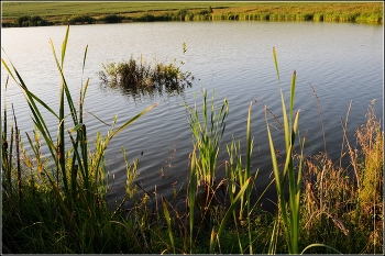 On the lake / ***