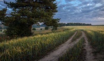 Kalten Morgen. / ...