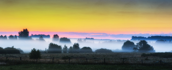 Blue mist / ***