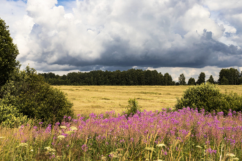 Durch das Feld / ***