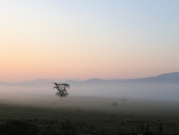 Morgendämmerung / ***