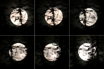  / die Fotos sind mit 30 bis 60 sekunden Abstand gemacht, so kann man den Lauf des Mondes erkennen
