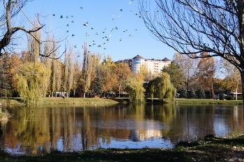 See im Park / ***
