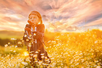 Gänseblümchen / ***