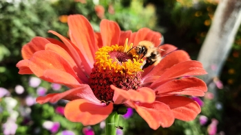 Bei der Arbeit ... / ***