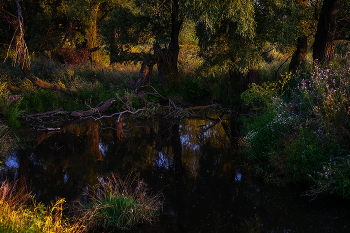 Abenddämmerung / ***