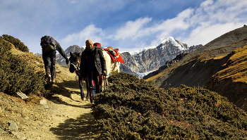 Auf Kollisionskurs / ***