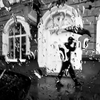 Rain / ***