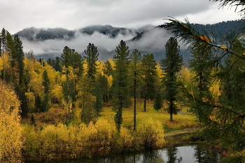 Nach dem Regen / ***