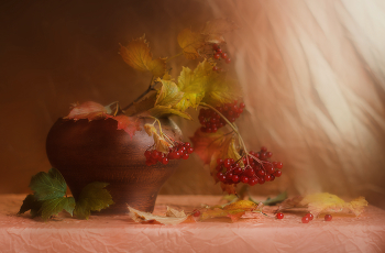 Herbst / ***