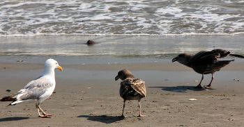 ernstes Gespräch / ***