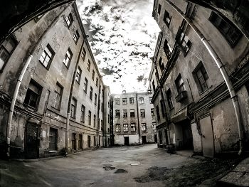 Yard / ***