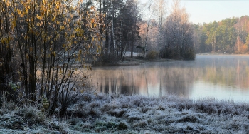 Nebliger Morgen / ***