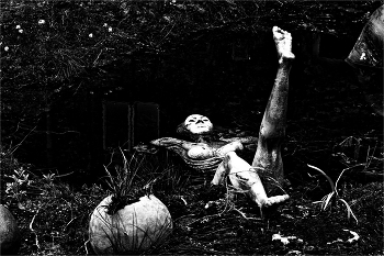 &nbsp; / ................................................