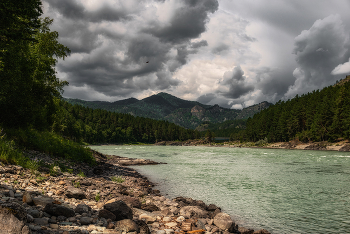 bridge / Altay