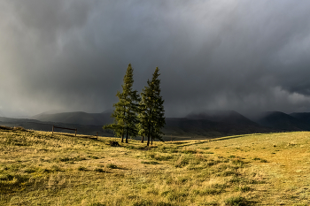 Before the storm / ***
