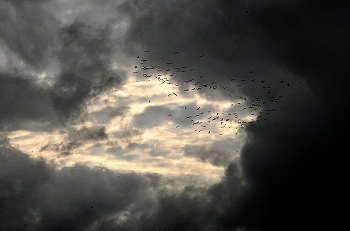 It's time to fly / ***