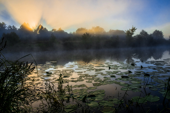 Dämmerung auf dem See. / ***