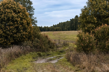 Weg / ***