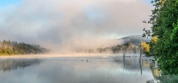 Morgennebel / morgens an der Wehramündung