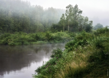 Foggy morning / ***