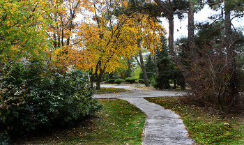 Autumn park / ***