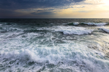 Storm / ***