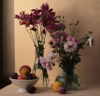 Autumn flowers / ***