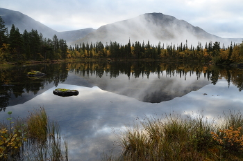 The early bird catches ... / ***