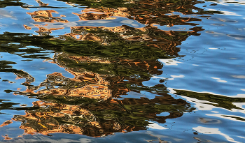 Reflections ... / ***