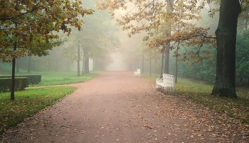 Nebel zerstreut / ***