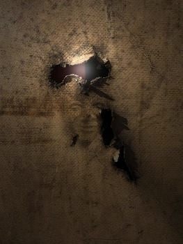 Verwesung / Auflösungserscheinungen