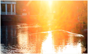 Fall impressionism / ***