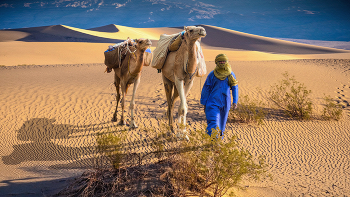Caravan / ***